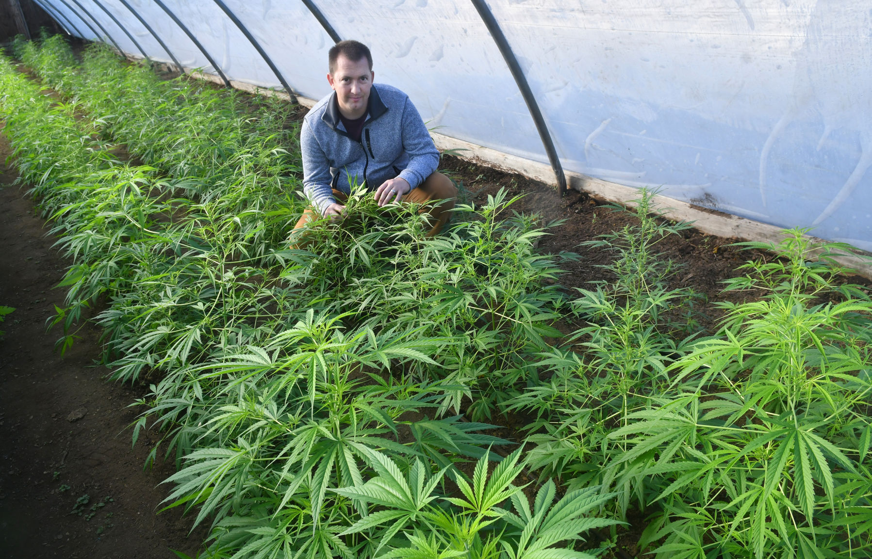 120520-qc-nws-hemp-080